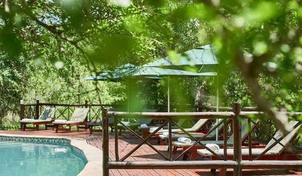 Grand Kruger Lodge & Spa Poolbereich