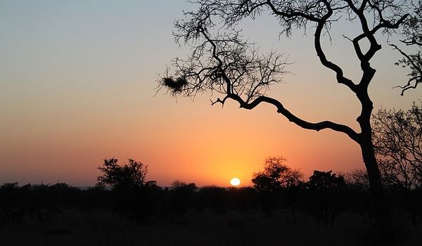 Sunset drive Nachtpirschfahrt in Südafrika